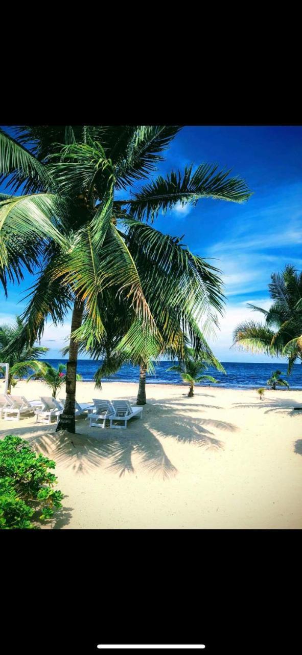 Caribbean Beach Cabanas Placencia Zewnętrze zdjęcie